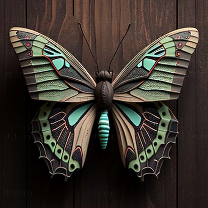 Graphium sarpedon